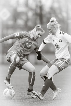 Bild 1446 - wBJ Hamburger SV - FFC Turbine Potsdam : Ergebnis: 5:3